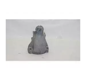 Кронштейн двигуна правий 2.2 CDI Mercedes Sprinter 906 2006-2018 Кронштейн двигуна правий 2.2 CDI Mercedes Sprinter 906 2006-2018